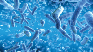 Quorum Sensing