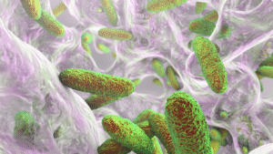 Biofilmes