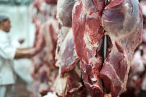 alimentos de origem animal