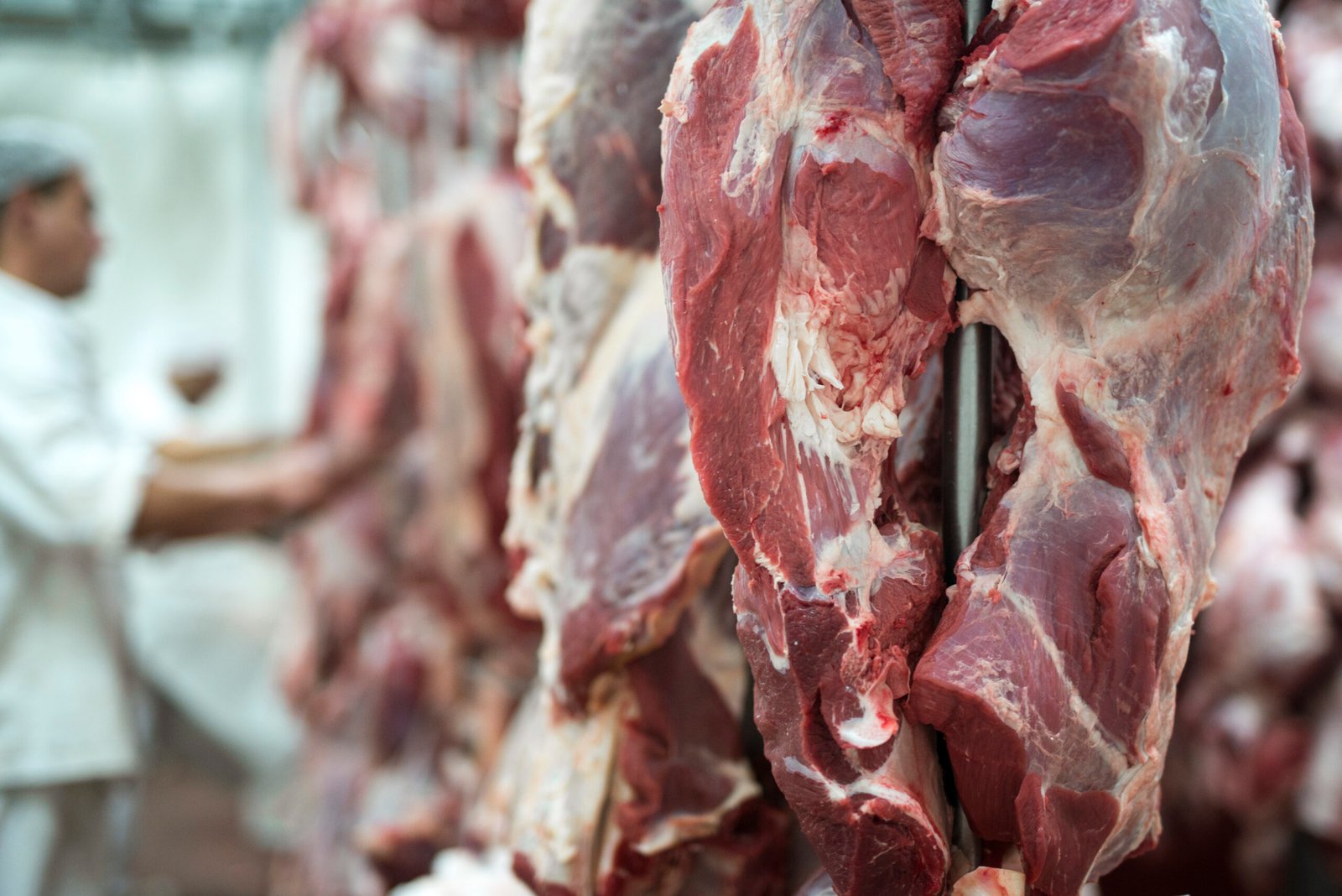 alimentos de origem animal