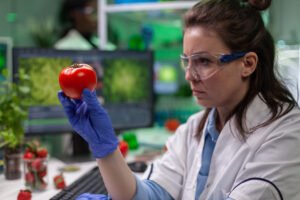 Uso da formulação preditiva com IA no P&D de alimentos