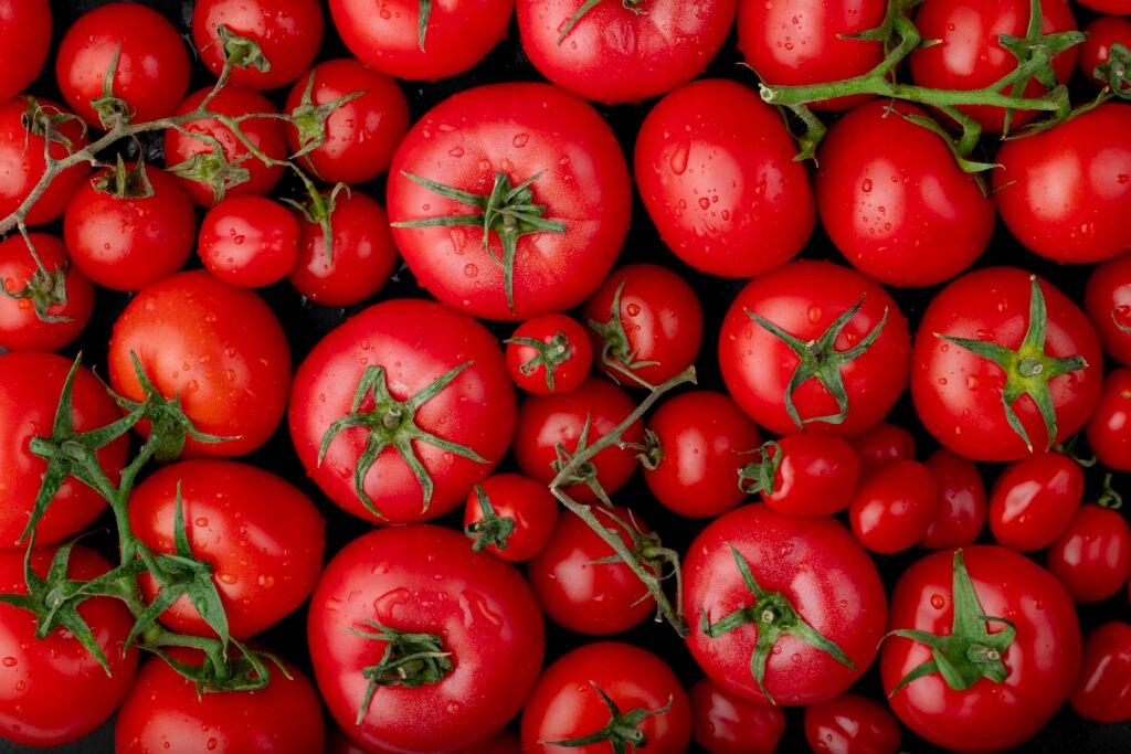 Surto de Salmonella associado à tomates