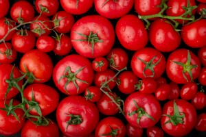 Surto de Salmonella associado à tomates