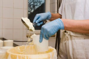 A fermentação como chave para texturas inovadoras em panificação e laticínios alternativos