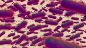 Surto fatal de E. coli na Bélgica