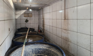 Operação dose limpa do Mapa combate o comércio de bebidas clandestinas e falsificadas