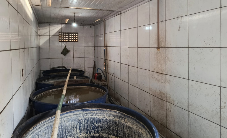 Operação dose limpa do Mapa combate o comércio de bebidas clandestinas e falsificadas