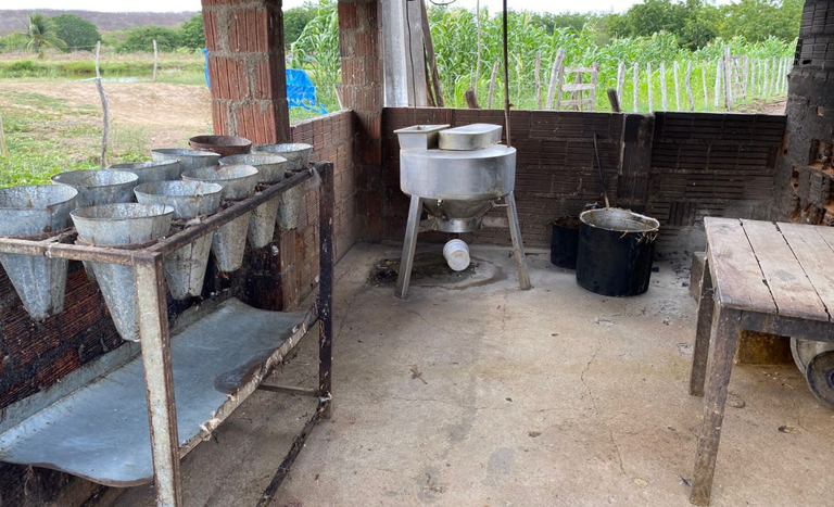 Operação do Mapa apreende mais de três toneladas de carne em combate ao abate clandestino de aves no Ceará